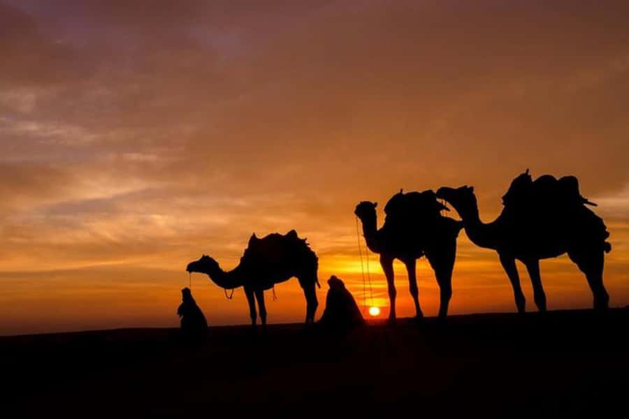 Marrakech: Sunset Dinner in Agafay Desert with Camel Ride - Moroccan dinner under the evening sky