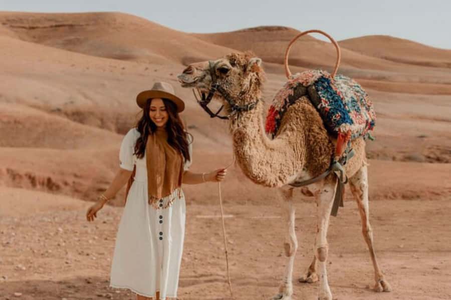 Marrakech: Sunset Dinner in Agafay Desert with Camel Ride - Who will enjoy this Agafay evening