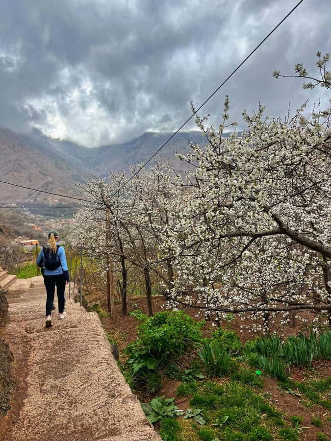 Marrakech: Tedli Summit Atlas Mountains Day Hike & Lunch - Key points to know before booking