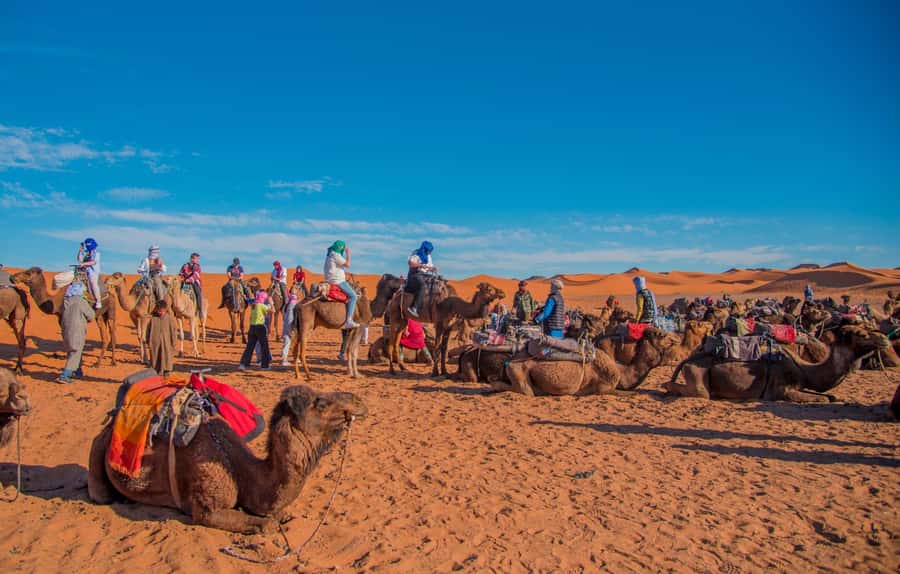 Marrakech to Fes: 3-Day Merzouga Desert Camel & Sandboarding - Crossing the High Atlas from Marrakech