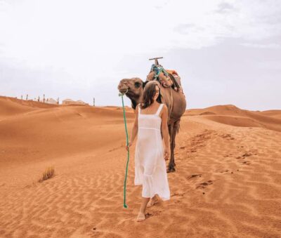 Marrakech to Fes: Quad, Dinner, Camel, 3-Day Desert Tour