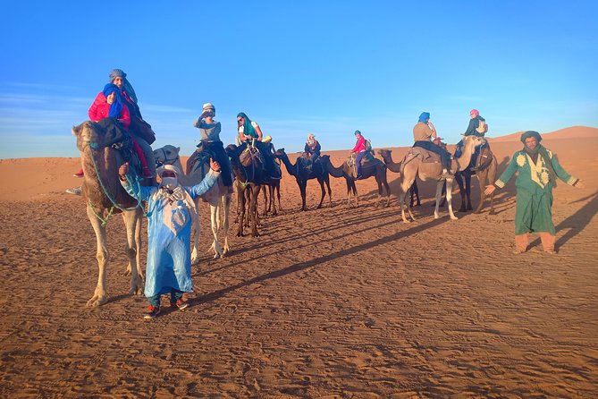 Marrakech to Fez via Merzouga Desert 3-Days Sahara Tour - Day three: sunrise, Ziz Valley, and the Middle Atlas