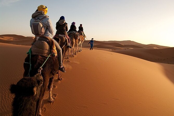 Marrakech to Merzouga Desert 3-Day via the High Atlas Mountains - Day one: climbing the High Atlas to Ait Ben Haddou