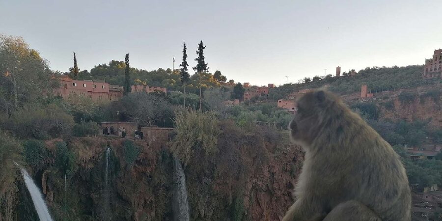 Marrakech to Ouzoud waterfalls day tour - Guide & boat ride - What the minibus day is really like