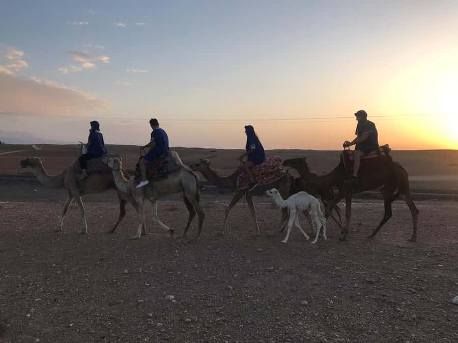 Marrakesh: Agafay Desert Quad & Camel Tour with Dinner - How to prepare for a more comfortable evening