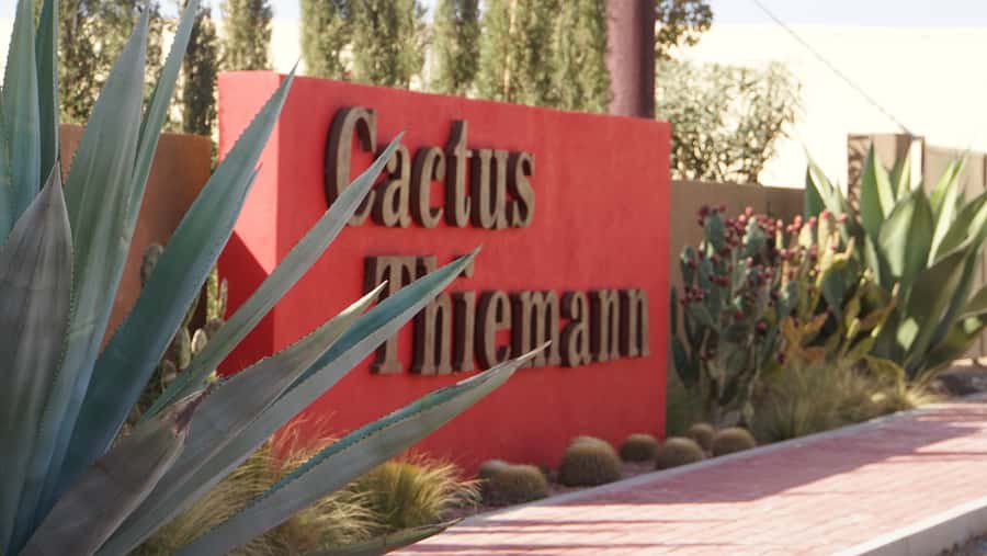 Marrakesh: Cactus Thiemann Entry Ticket - Small details that make the visit easier