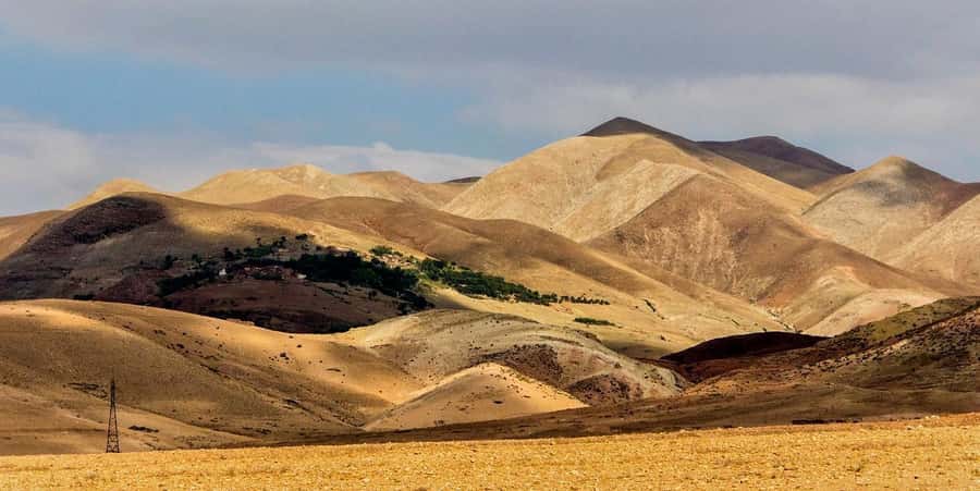 Marrakesh: Desert & Mountain Tour with Camel Ride & Lunch - Tea, argan oil, and a look at local life