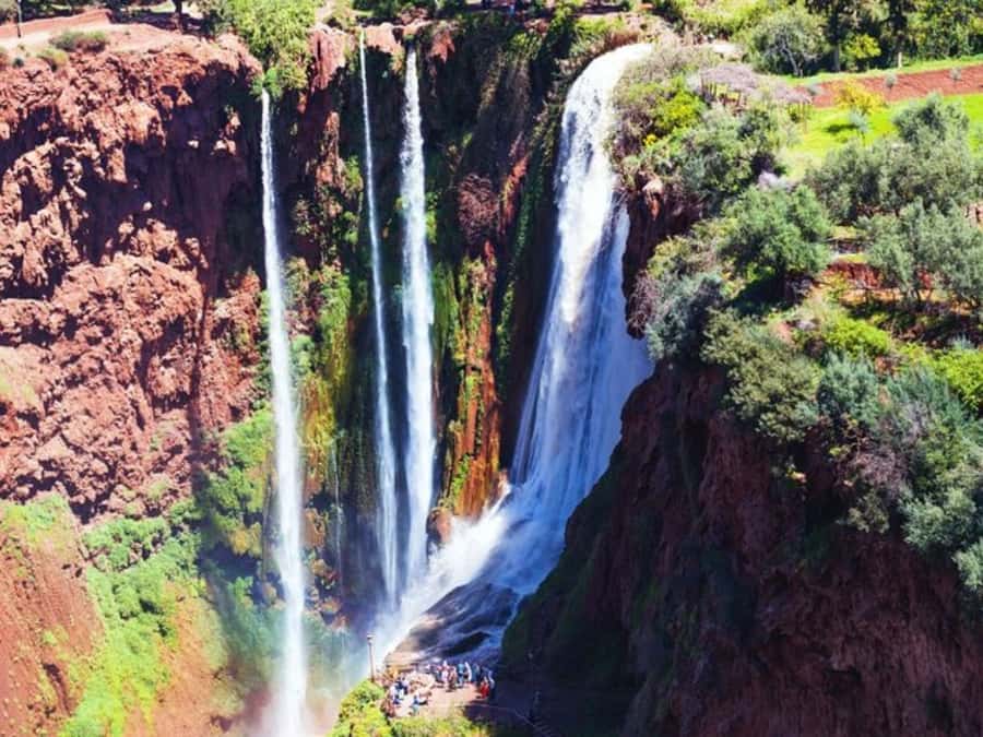Marrakesh: Ouzoud Waterfalls Trip with Hike & Boat Option - Monkeys, olive trees, and the photo stops
