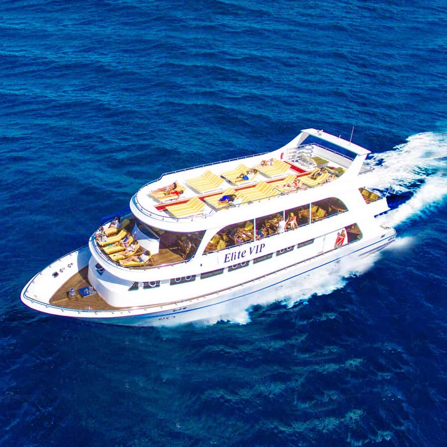 Marsa Alam: Elite vip Turtle bay snorkeling with BBQ Lunch - Getting to the marina from Marsa Alam or Quseer
