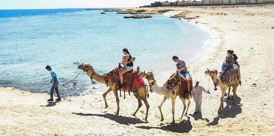 Marsa Alam: Sea and Desert Camel Riding Tour - A quiet ride between desert and sea