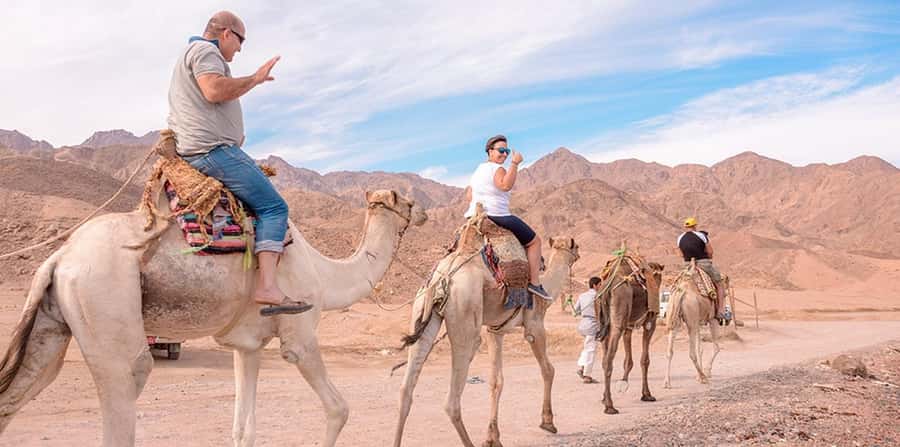 Marsa Alam: Sea and Desert Camel Riding Tour - What the $28 price really buys you