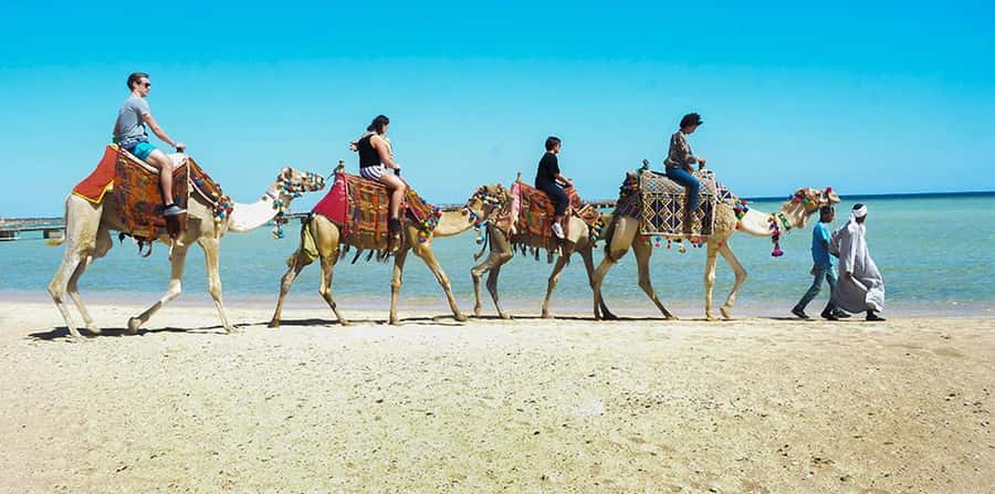 Marsa Alam: Sea and Desert Camel Riding Tour - Getting comfortable with your camel