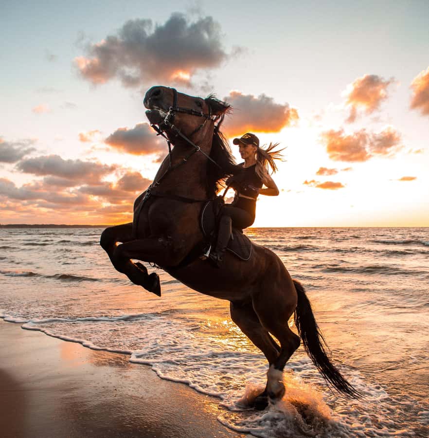 Marsa Alam: Sea and Desert Horse Riding Tour - From Marsa Alam’s stables to the Red Sea