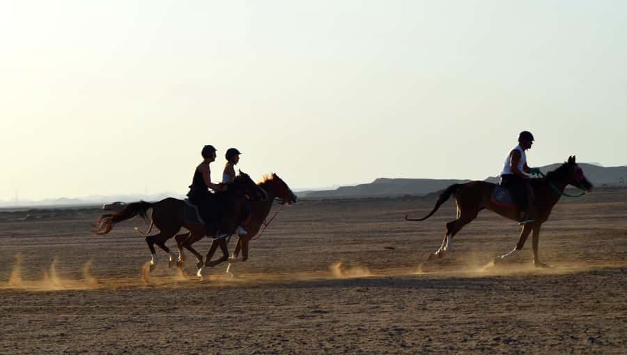 Marsa Alam: Sea and Desert Horse Riding Tour - The four-hour VIP route and horse swim