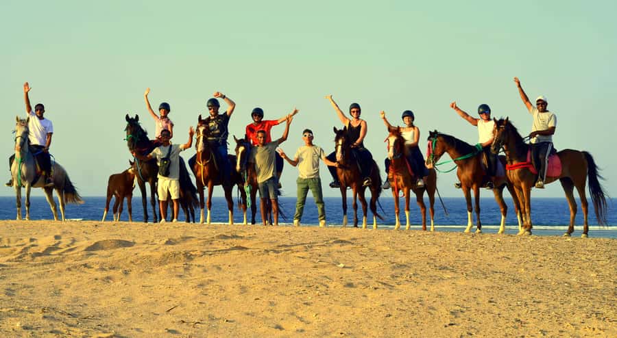 Marsa Alam: Sea and Desert Horse Riding Tour - Horses, guides, and how the ride is managed