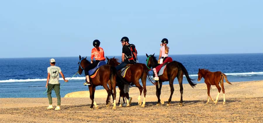 Marsa Alam: Sea and Desert Horse Riding Tour - Is the $33 price good value?
