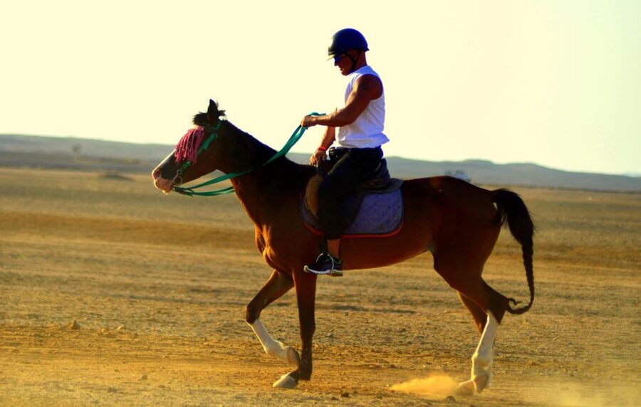 Marsa Alam: Sea and Desert Horse Riding Tour - Practical details that affect your day