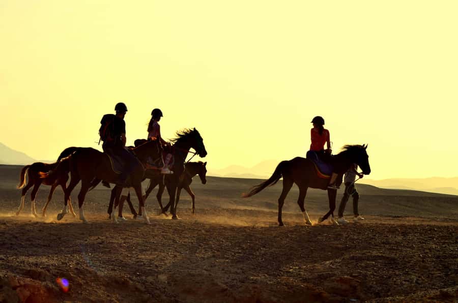 Marsa Alam: Sea and Desert Horse Riding Tour - The two-hour route: desert first, beach second
