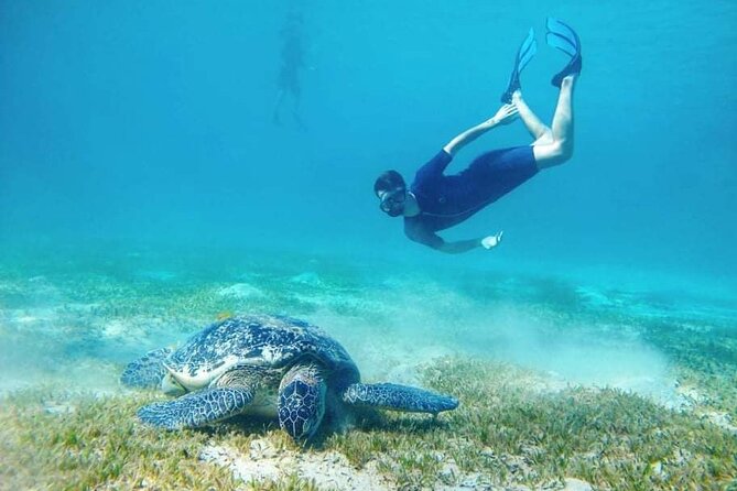Marsa Mubarak snorkeling with dugong and turtles - marsaalam - Lunch and time on the boat