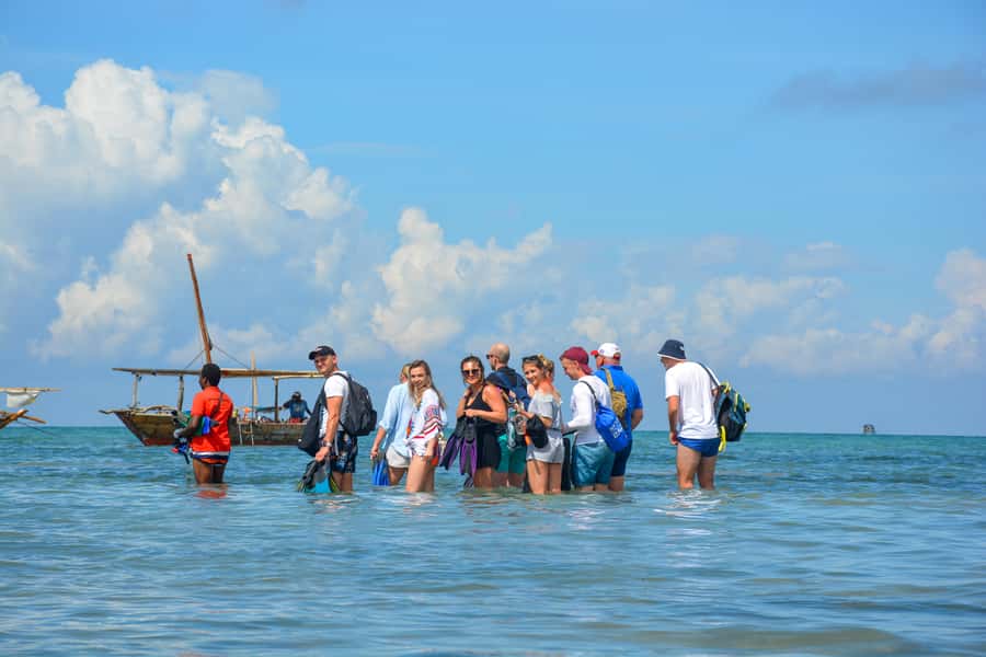 Matemwe: Mnemba Island Dolphin & Snorkeling Boat Trip - Should you book the Mnemba trip?
