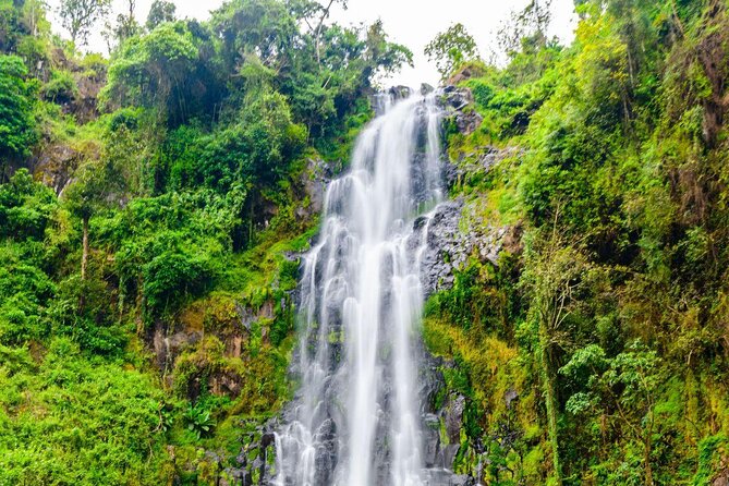 Materuni Waterfall, Coffee Tour and Picnic Hot Lunch - Key things to know before booking