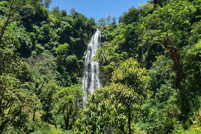 Materuni Waterfall, Coffee Tour and Picnic Hot Lunch - Why Materuni works so well as a day from Moshi