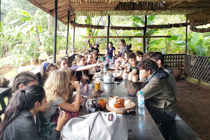 Materuni Waterfall, Coffee Tour and Picnic Hot Lunch - A hot local lunch with the village Mamas
