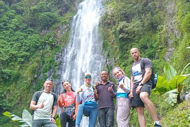 Materuni Waterfall, Coffee Tour and Picnic Hot Lunch - Who should book this Materuni day trip?