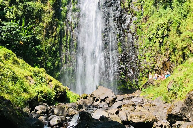 Materuni Waterfall, Coffee Tour and Picnic Hot Lunch - The waterfall and its cold swimming pool