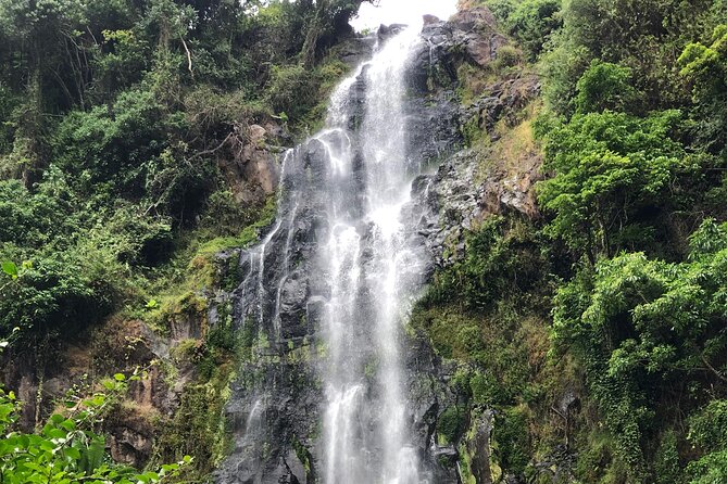 Materuni waterfalls coffee tour & Chemka hot springs Day trip - The bumpy road to Chemka Hot Springs