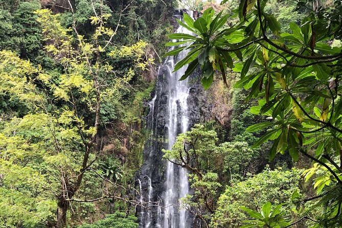 Materuni waterfalls coffee tour & Chemka hot springs Day trip - Timing, transport, and the true cost of a $95 day