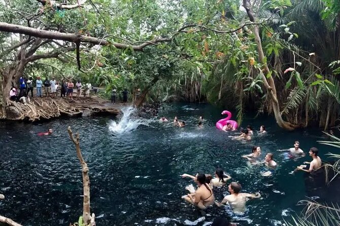 Materuni waterfalls coffee tour & Chemka hot springs Day trip - Weather, cancellation, and small practical choices