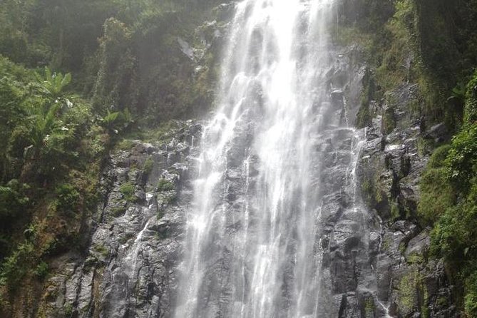 Materuni Waterfalls & Coffee Tour from Moshi - Key points to know before you book
