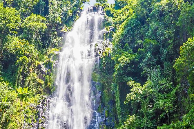 Materuni Waterfalls & Coffee Tour from Moshi - Walking through Materuni village and the hills