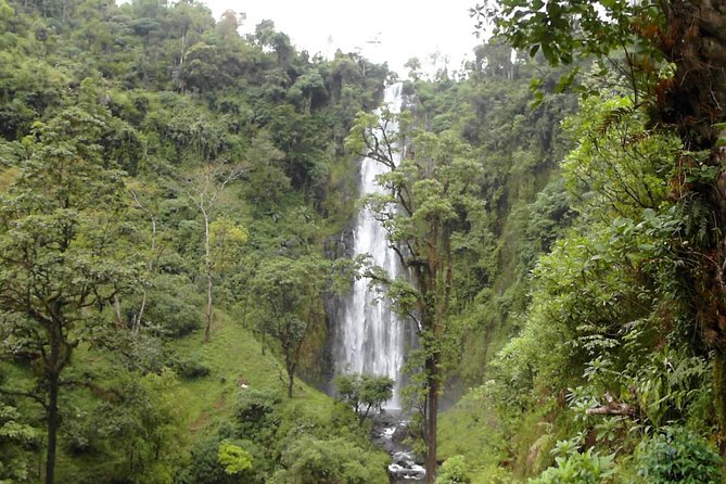 Materuni Waterfalls & Coffee Tour from Moshi - Arriving at the 90-meter waterfall