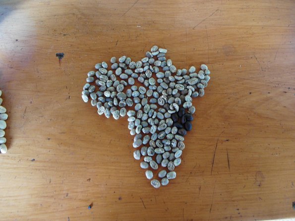 Materuni Waterfalls & Coffee Tour from Moshi - Guides who shape the day
