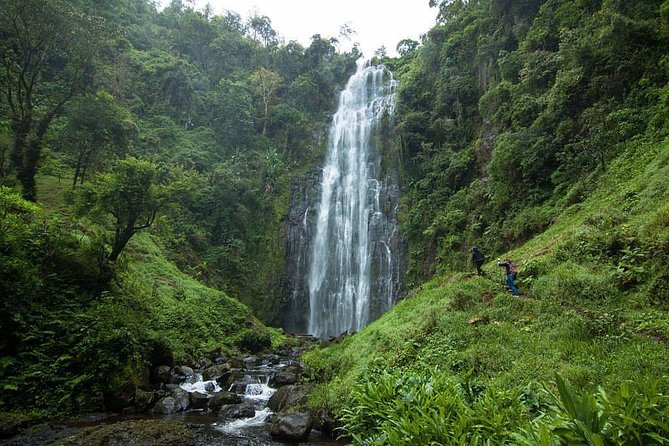 Materuni Waterfalls, coffee tour & Kikuletwa Hot Springs - What makes this day worthwhile