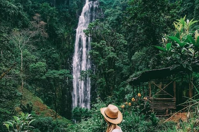 Materuni Waterfalls, coffee tour & Kikuletwa Hot Springs - A full day that earns its place near Arusha