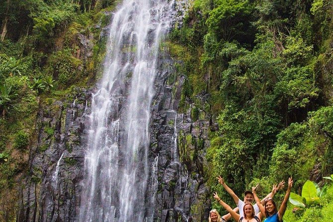 Materuni Waterfalls, coffee tour & Kikuletwa Hot Springs - Learning coffee the Chagga way