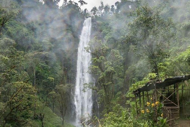 Materuni Waterfalls, coffee tour & Kikuletwa Hot Springs - Kikuletwa’s clear water and easy afternoon