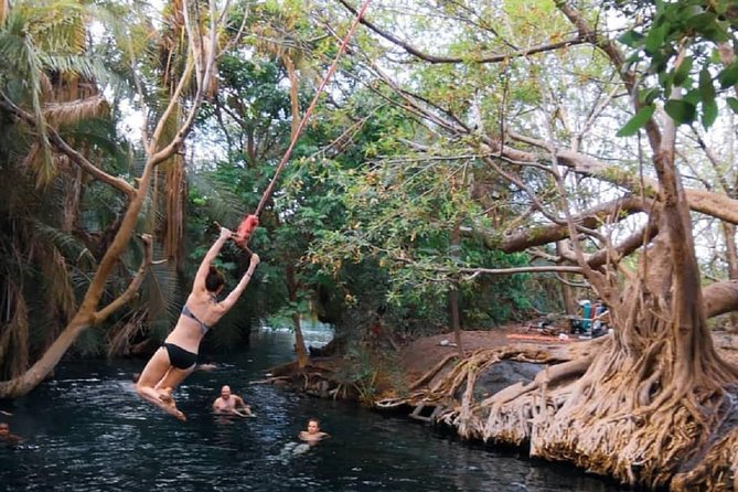 Materuni Waterfalls, coffee tour & Kikuletwa Hot Springs - What your guide adds to the day