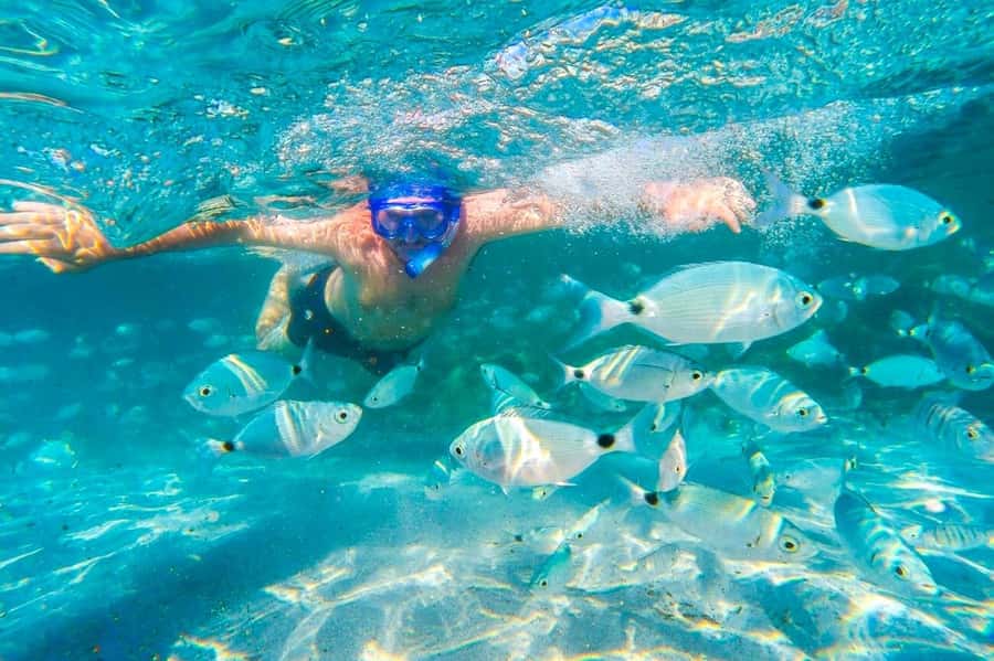 Mauritius: 5 East Coast Islands Tour with Snorkeling & Lunch - A swim and aperitif at Ile aux Aigrettes