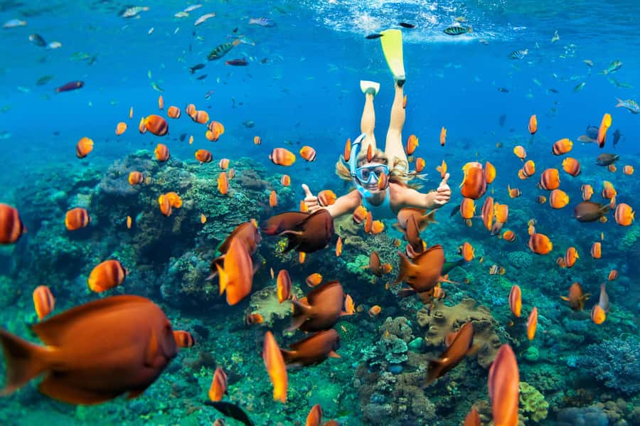 Mauritius: 5 East Coast Islands Tour with Snorkeling & Lunch - Starting near Trou d’Eau Douce