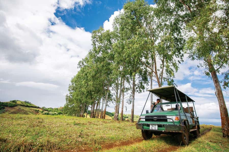 Mauritius: Bel Ombre Nature Reserve 4x4 Safari Adventure - A safari in Mauritius, not Africa