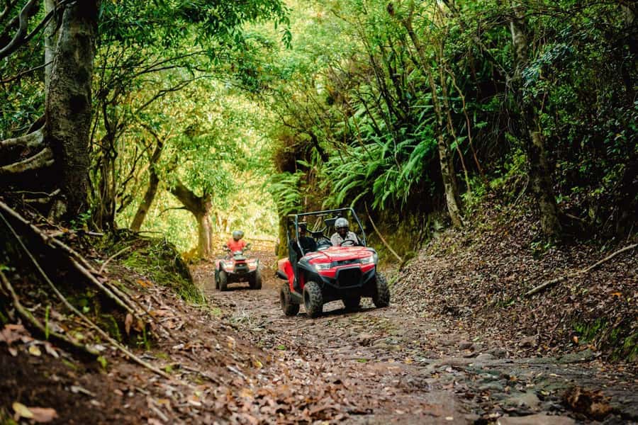 Mauritius: Bel Ombre Nature Reserve Quad Bike Tour - How the $150 group price works