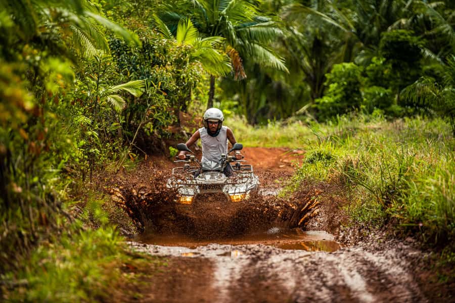 Mauritius: Bel Ombre Nature Reserve Quad Bike Tour - What the quad ride feels like
