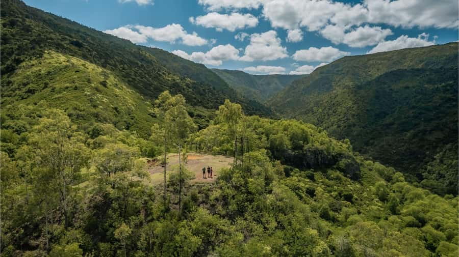 Mauritius: Black River Gorges National Park 3-Hour Hike - Starting at Riverview Commercial Centre