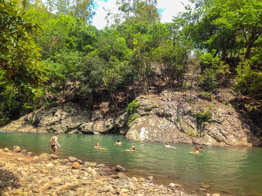 Mauritius: Black River Gorges National Park 3-Hour Hike - Viewpoints above the gorges