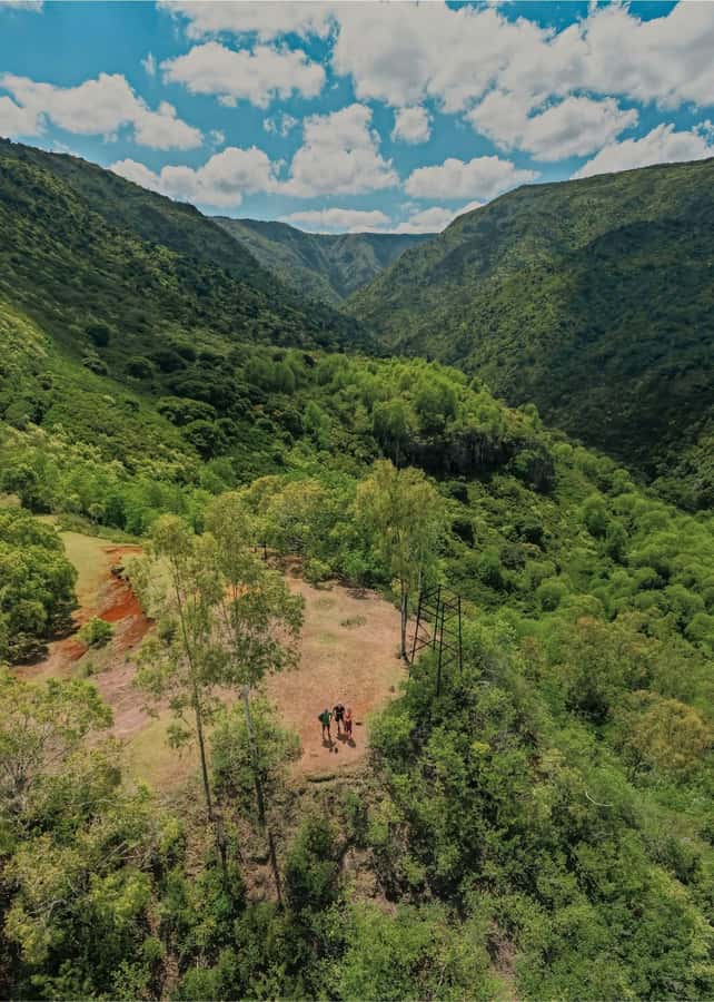 Mauritius: Black River Gorges National Park 3-Hour Hike - The Black River swim at the end
