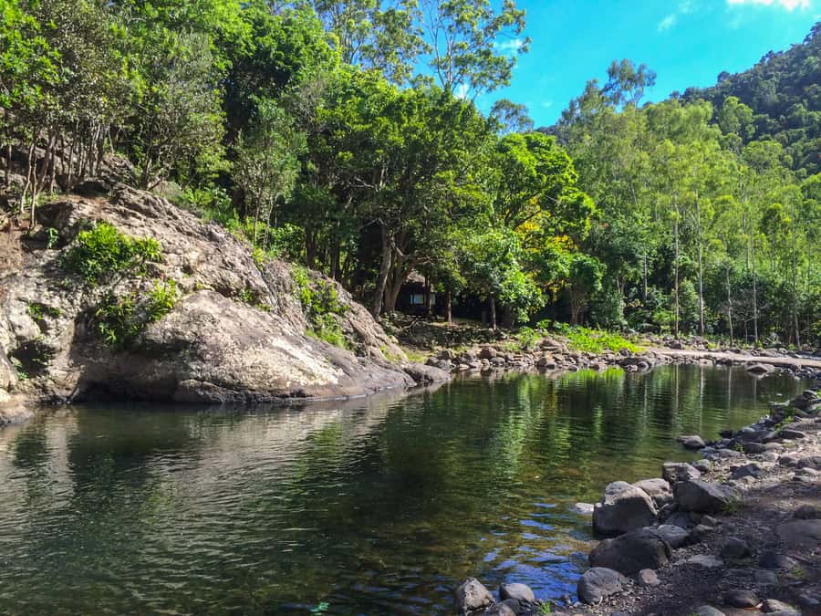 Mauritius: Black River Gorges National Park 3-Hour Hike - What to pack for a comfortable walk